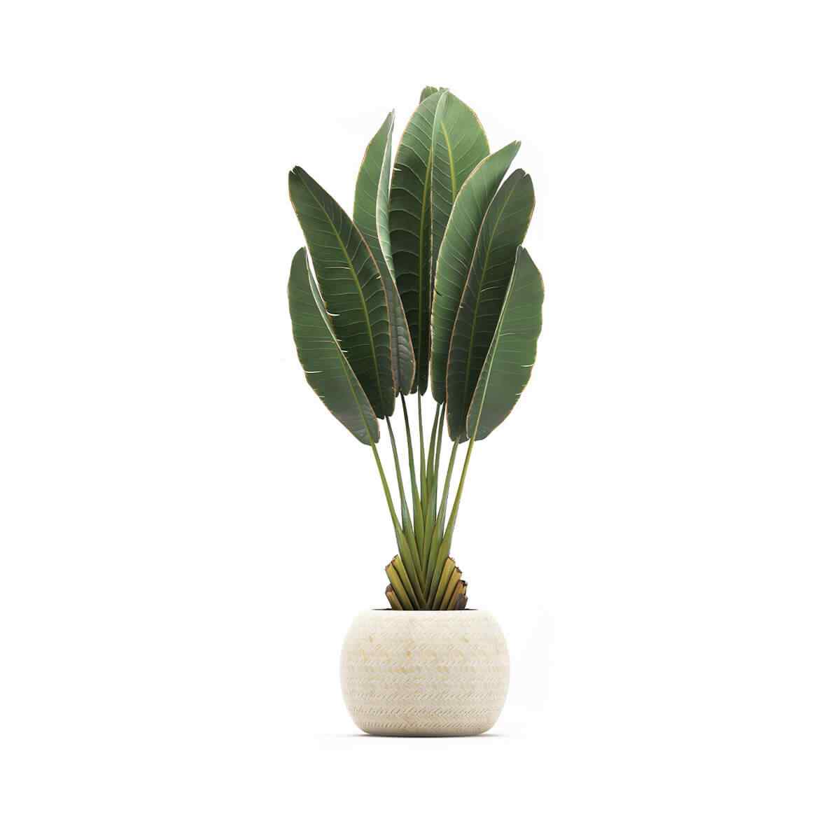 https://horteak.com/wp-content/uploads/2018/09/product_06.jpg