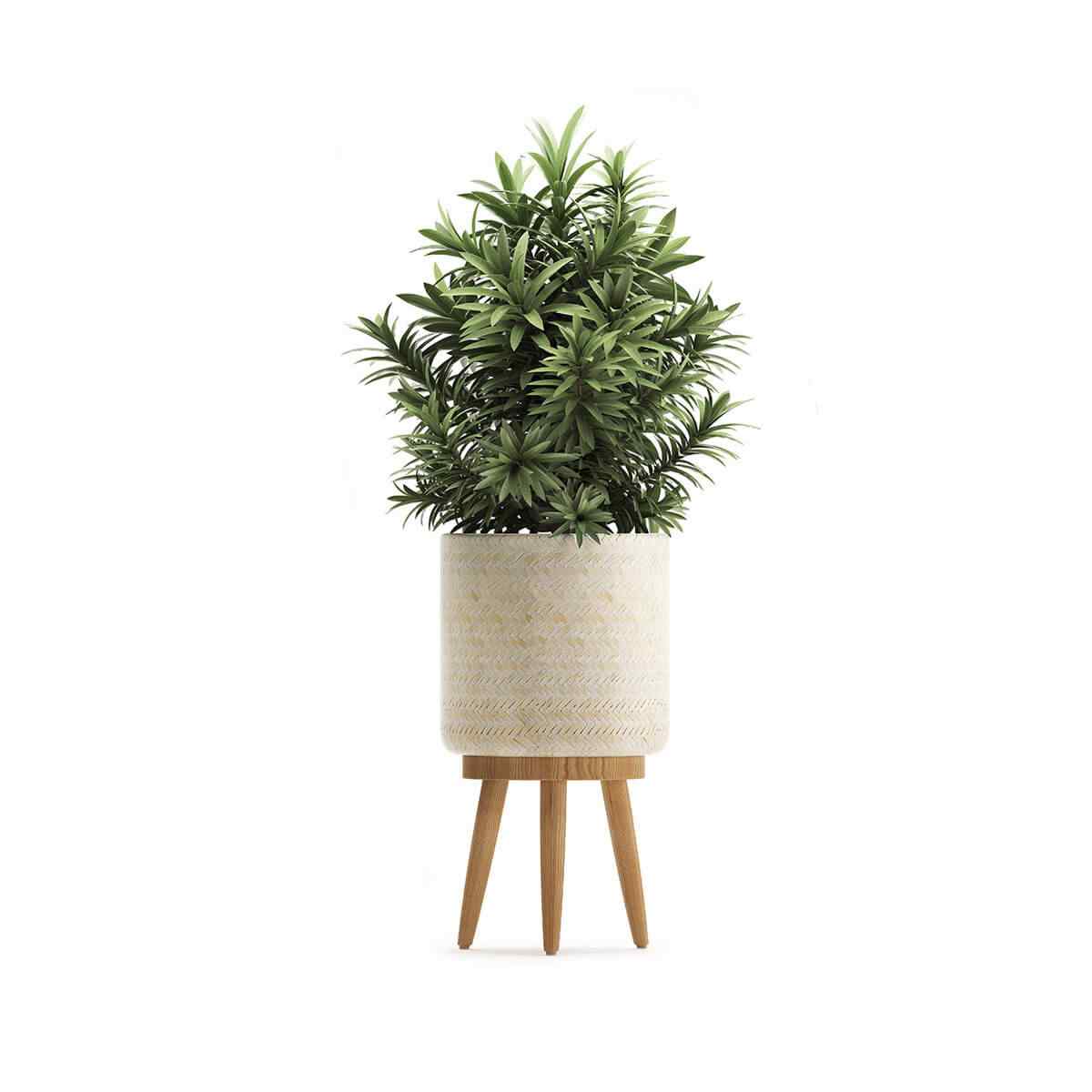 https://horteak.com/wp-content/uploads/2018/09/product_08.jpg