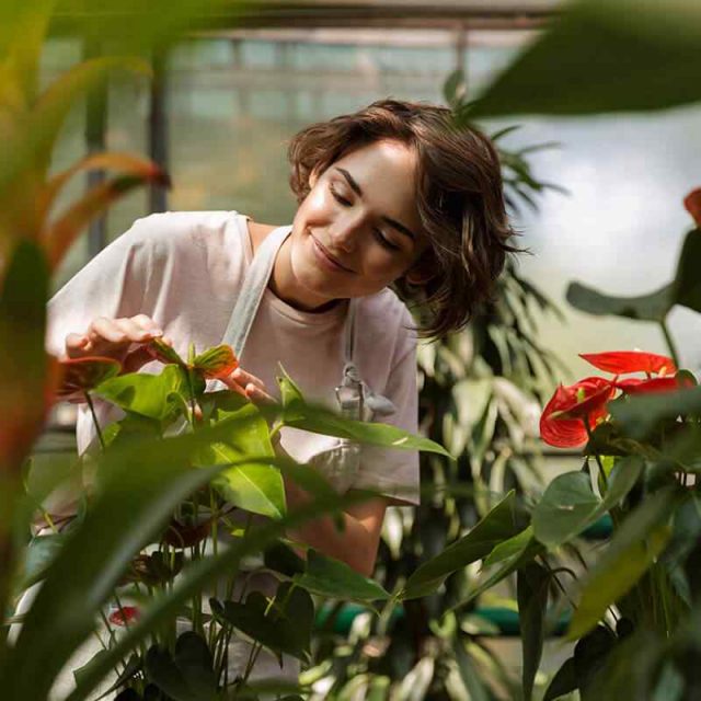 https://horteak.com/wp-content/uploads/2019/10/team_08-640x640.jpg